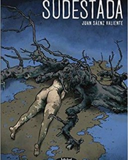 Sudestada - Juan Saenz Valiente