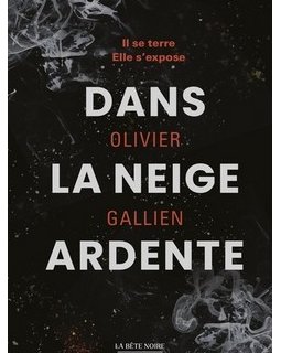 Dans la Neige Ardente - L'interrogatoire d'Olivier Gallien