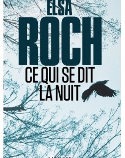 3 bonnes raisons de lire Ce qui se dit la nuit d'Elsa Roch