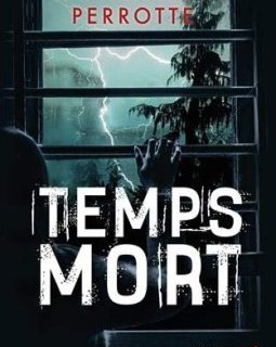 Temps mort - Guillaume Perrotte