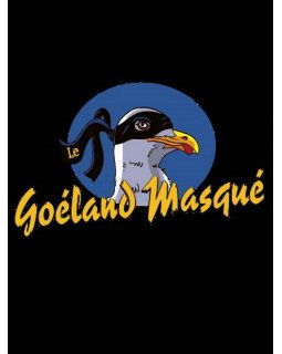 Le Prix du Goéland Masqué 2022 dévoile ses finalistes