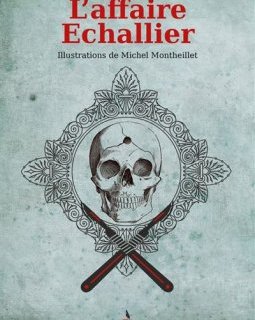 Surin d'Apache (Tome 2) : L'affaire Echallier - Stanislas Pétrosky