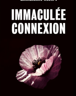 Immaculée Connexion - Emmanuelle Robert