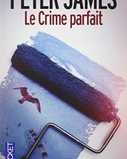 Le crime parfait - Peter James