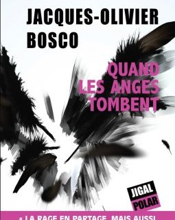 Quand les anges tombent - Jacques-Olivier Bosco