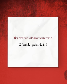 Cadavre exquis géant pendant le confinement !