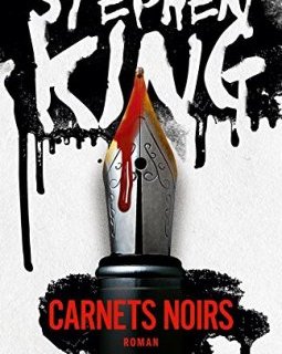 Carnets noirs - Stephen King