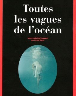 Toutes les vagues de l'océan - Víctor del Árbol