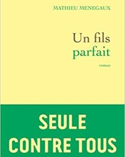 Un fils parfait - Mathieu Ménégaux