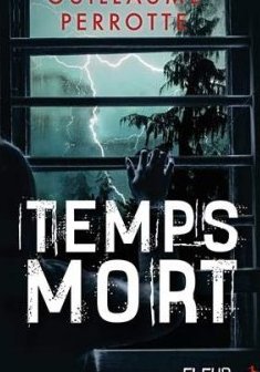 Temps mort - Guillaume Perrotte