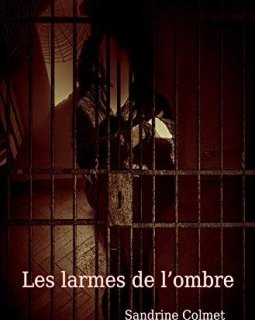 Les Larmes de l'Ombre - Sandrine Colmet