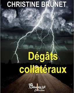 Dégats collatéraux - Christine Brunet 