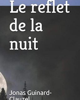 Le reflet de la nuit