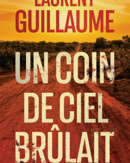 Un coin de ciel brûlait - Laurent Guillaume