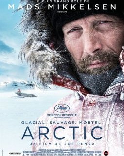 Arctic - Joe Penna