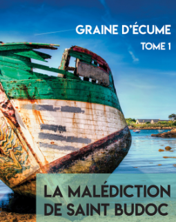 La Malédiction de Saint Budoc (Tome 1) - Claire Connan