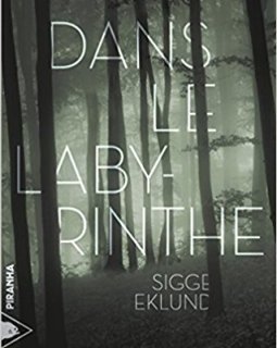 Dans le labyrinthe - Sigge Eklund