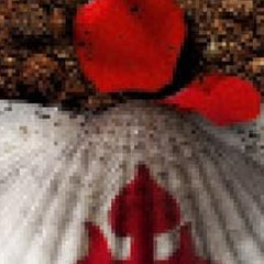 Le Camino, d'Anya Niewierra, va devenir une mini-série et entre en tournage.
