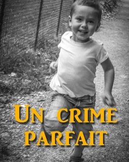 Un crime parfait - Olivier WAGNER
