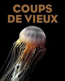 L'interview de Dominique Forma