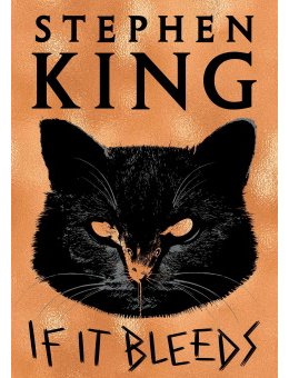 Stephen King - Deux nouveaux romans en cours d'écriture