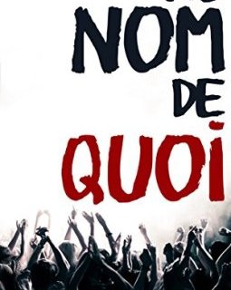 Au nom de quoi - Amélie Antoine