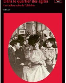 dans le quartier des agités - Jacques Cote