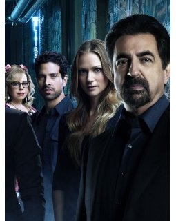 Une saison 14 pour Esprits criminels