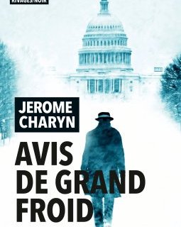 Avis de grand Froid - Jerome Charyn