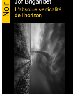 L'absolue verticalité de l'horizon - Jof Brigandet