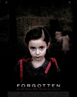 Forgotten - Alexandra Schmidt