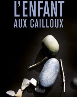  L'Enfant aux cailloux - Sophie Loubiere