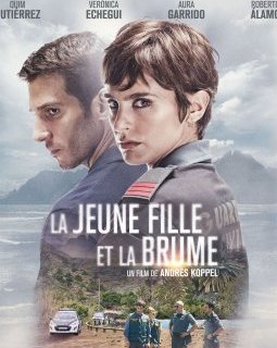 La jeune fille et la brume - Andrés M. Koppel