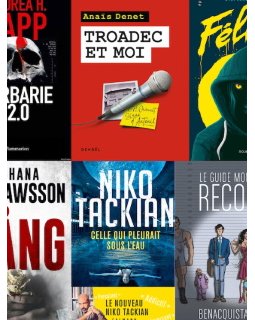 Polar en séries 2020 - La sélection finale