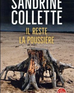 Il reste de la poussière - Sandrine Collette (Poche)