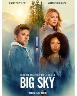 Polars et thrillers au programme de Star, la nouvelle section de Disney+