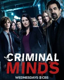 Esprit criminel - Saison 13
