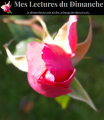 lecturesdudimanche