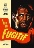 Je suis un fugitif : le film noir à son zénith