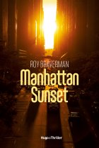 Manhattan Sunset - Roy Braverman