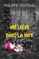 Une lueur dans la nuit - Philippe Fontanel