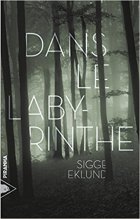 Dans le labyrinthe - Sigge Eklund