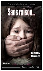 Sans Raison - Mehdy Brunet