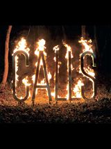 Canal+ révèle une nouvelle série...sans images