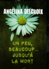 Un peu beaucoup jusqu'à la mort - Angelina Delcroix