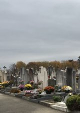 L'invité surprise...