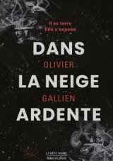 Dans la Neige Ardente - L'interrogatoire d'Olivier Gallien