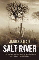 Salt river - James Sallis