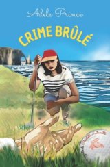 Crime brûlé (Tome 3) - Adèle Prince