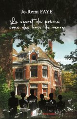 Le secret du poème sous des bris de verre - Jo-Rémi FAYE